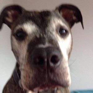 Meet your Posher, Gilma